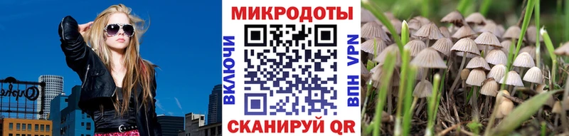 Галлюциногенные грибы ЛСД  Красный Холм 
